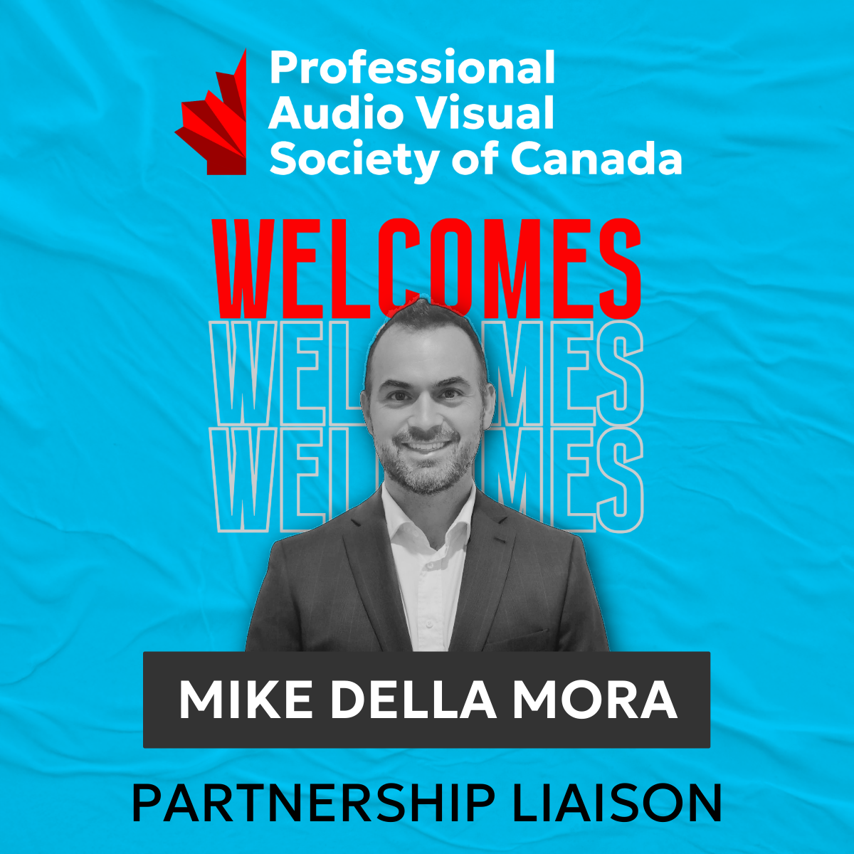 Partnership Liaison
