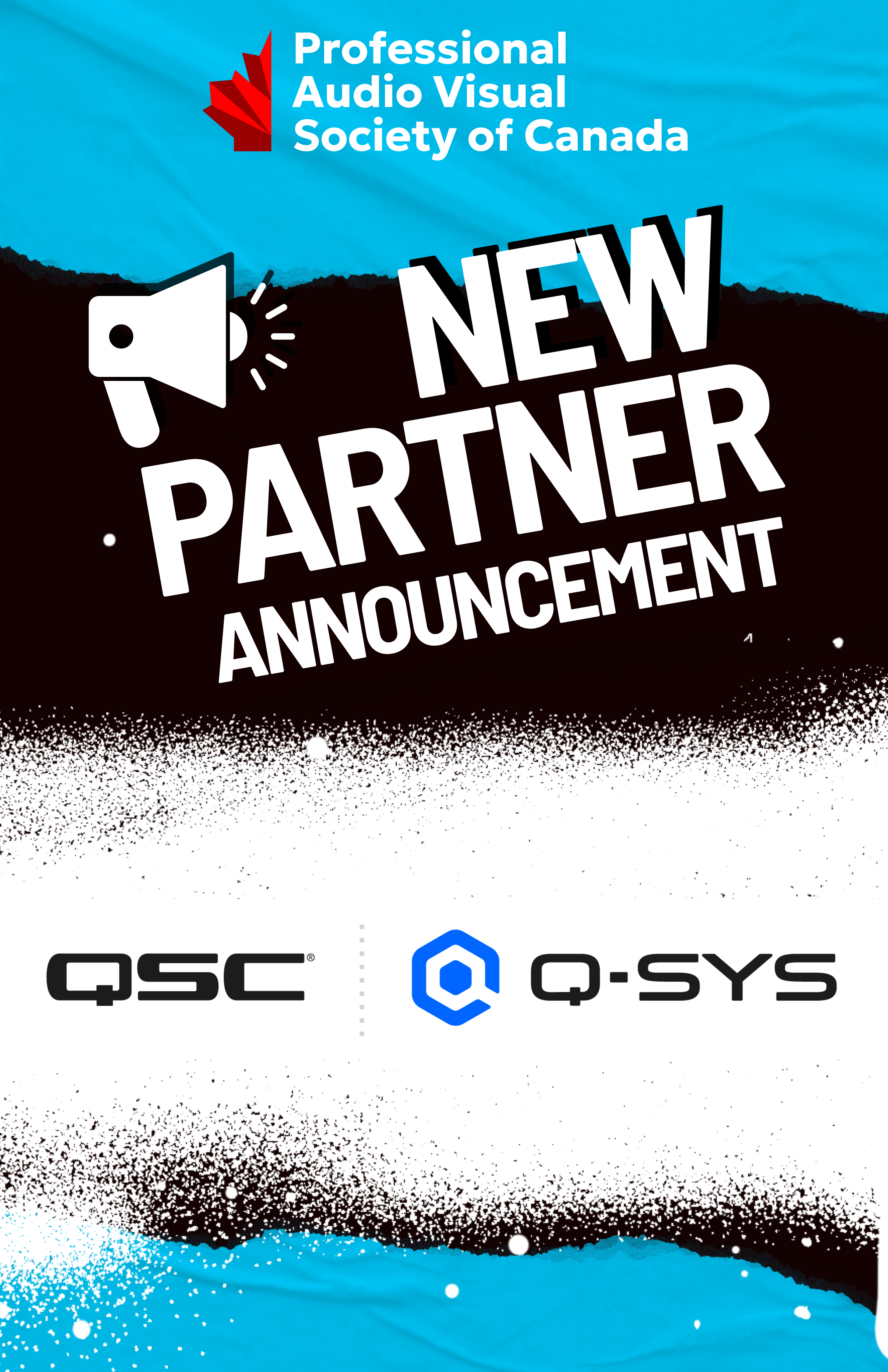 PAVSC Adds QSC As Latest Founding Level Partner