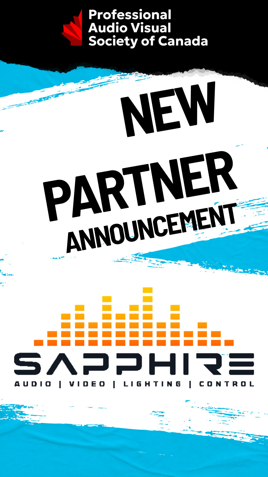 Sapphire Joins PAVSC as Impact Level Partner